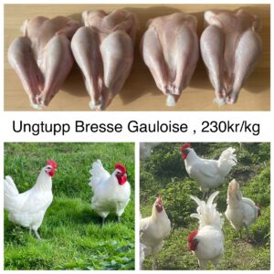 Smeds Gårds Ungtupp Bresse (fryst)