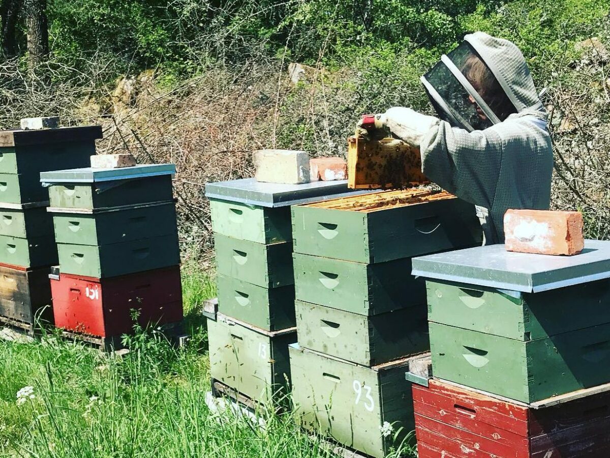 Lina Norssell, biodlare och honungsproducent från Borråkra utanför Degeberga