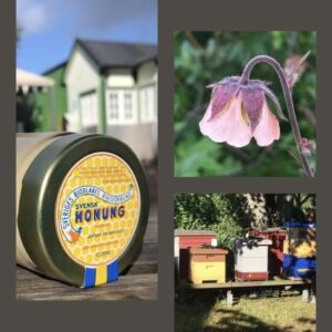 Andelsbiodling - 2025