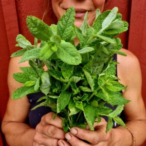 Rejäl bunte myntamix