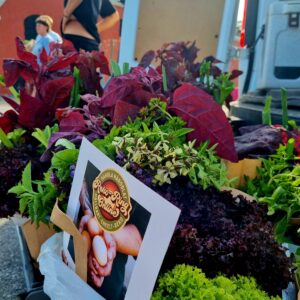 Grönsakskasse - Liten