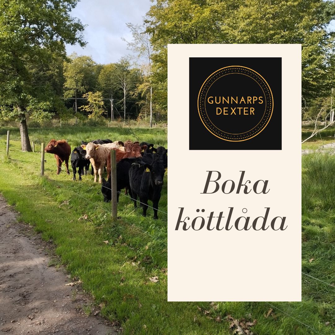 Boka köttlåda nöt (entrecote)