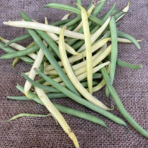 Blandade bönor (KRAV)