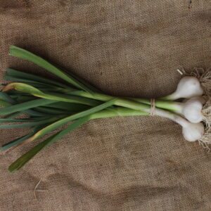 Färsk vitlök 2st  ”KRAV”